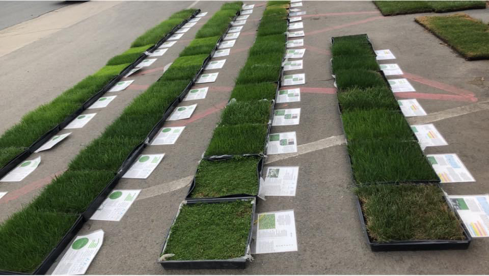 Sod samples by Sod and Seed, Inc.