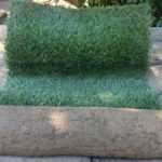 Sod Roll by Sod and Seed, Inc.